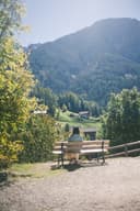 Dorlomonitis photo 3