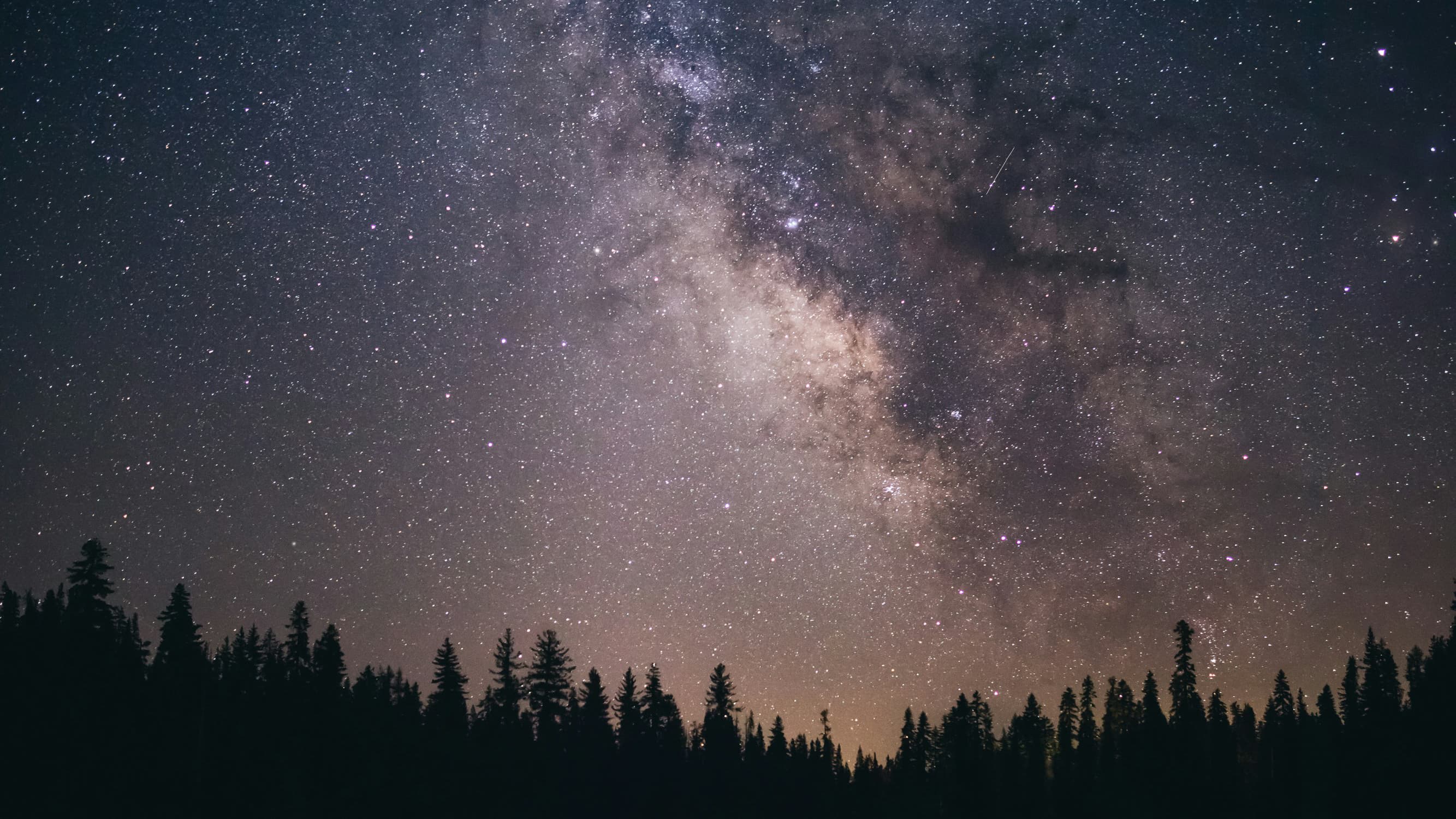 Interview Twin: Dveloping a Production-Ready LLM Application