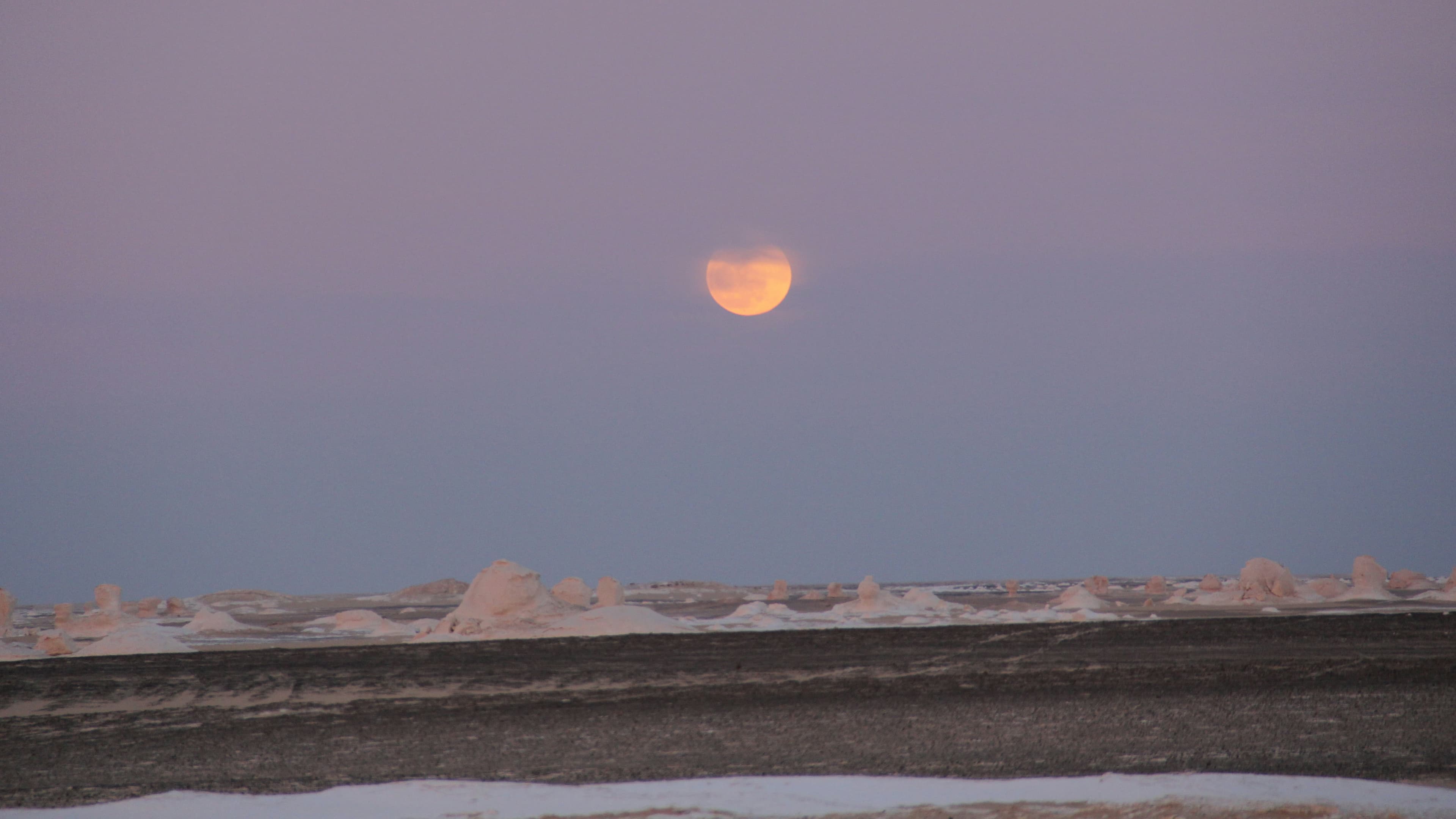 Building a Modern Personal Website: From Concept to Deployment